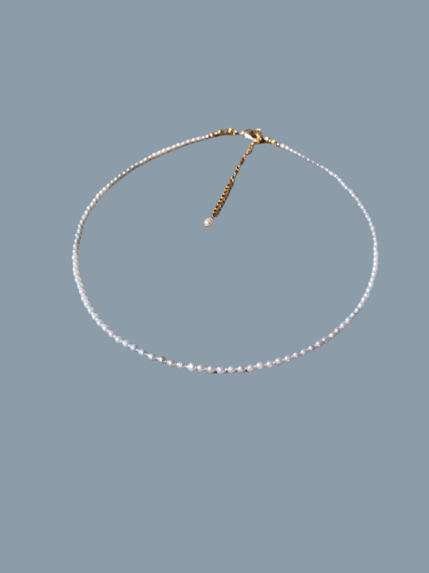 Lynn • Chic Tiny Seed Freshwater Pearl Choker Necklace