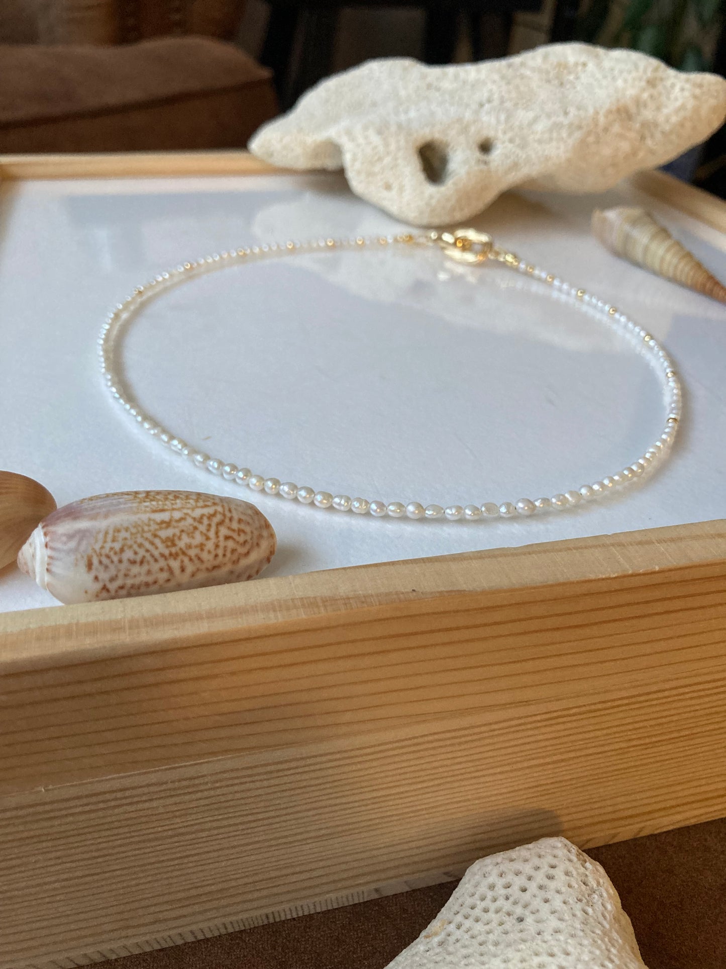 Lynn • Chic Tiny Seed Freshwater Pearl Choker Necklace