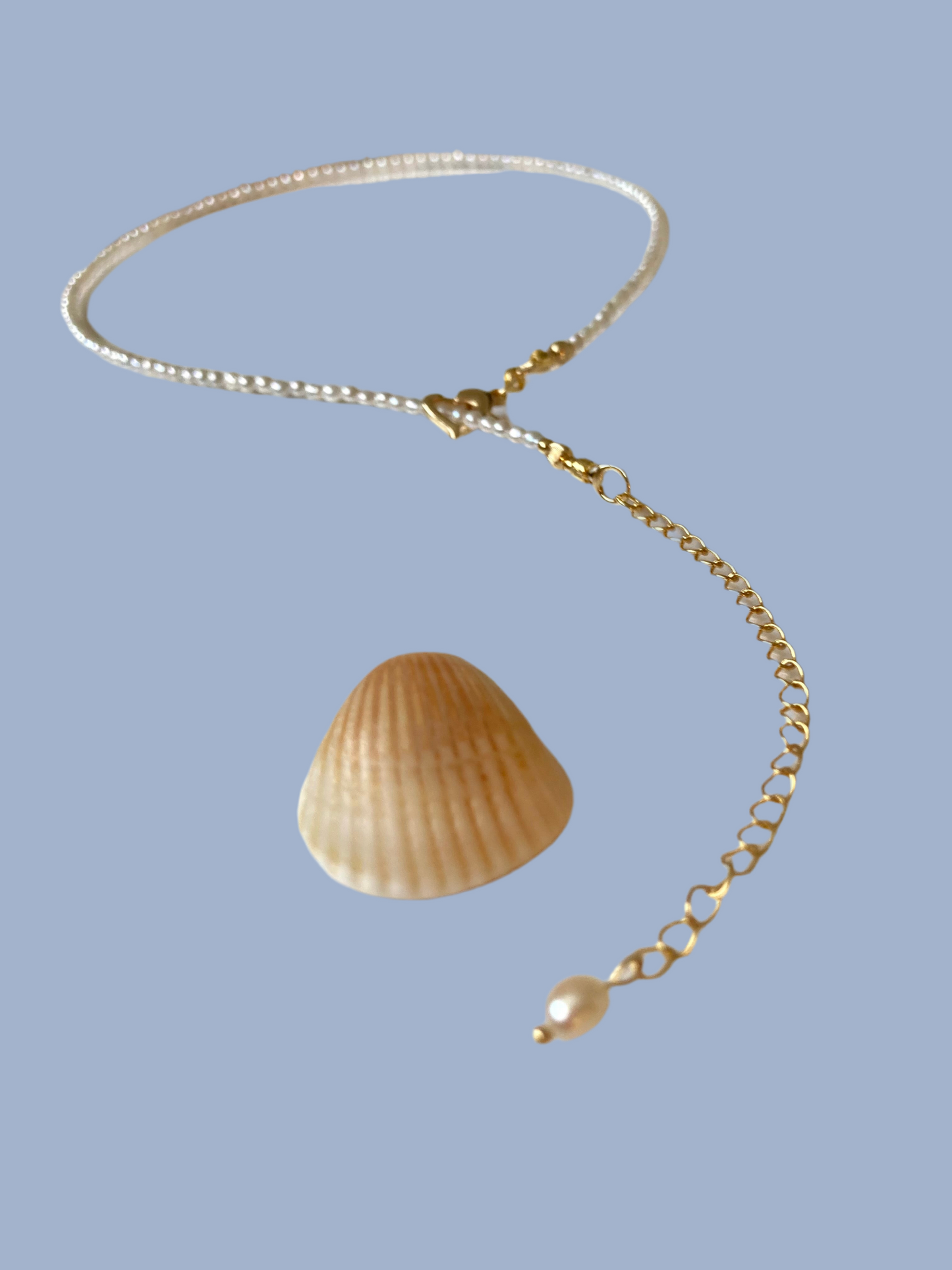 Lynn • Chic Tiny Seed Freshwater Pearl Choker Necklace
