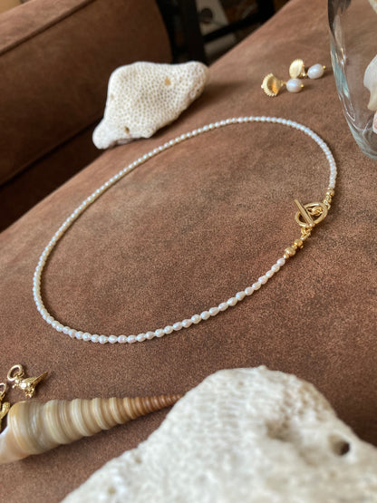 Gabi • Chic Tiny Freshwater Pearl Beads Choker Necklace