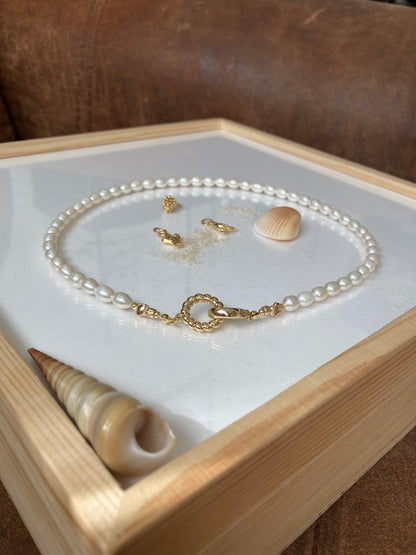 Modern Design Premium Freshwater Pearl Choker Necklace