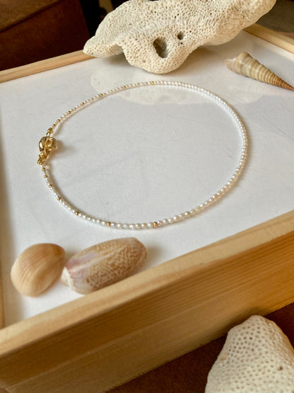 Gabi • Chic Tiny Freshwater Pearl Beads Choker Necklace