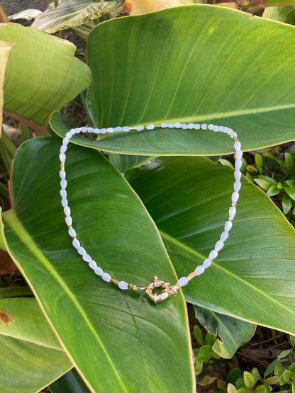 Chic Modern Choker Necklace