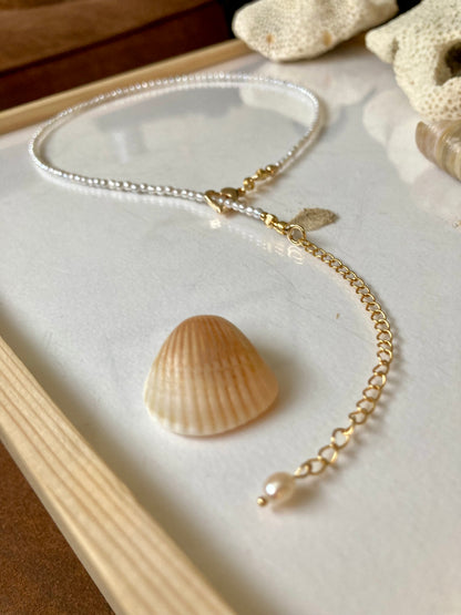 Lynn • Chic Tiny Freshwater Pearl Choker Necklace
