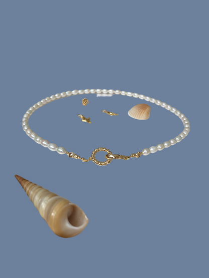 Modern Design Premium Freshwater Pearl Choker Necklace