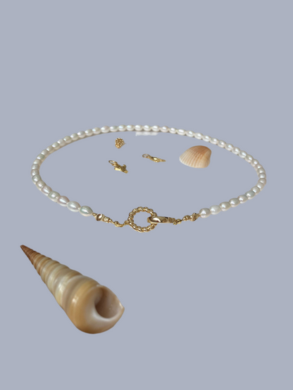 Modern Design Premium Freshwater Pearl Choker Necklace