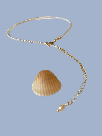 Lynn • Chic Tiny Freshwater Pearl Choker Necklace